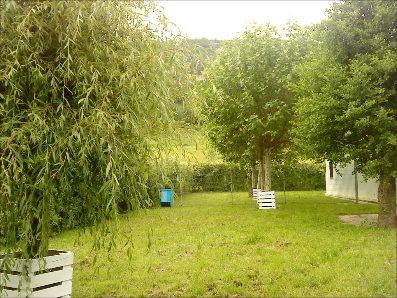 residencia canina las mascotas de ines