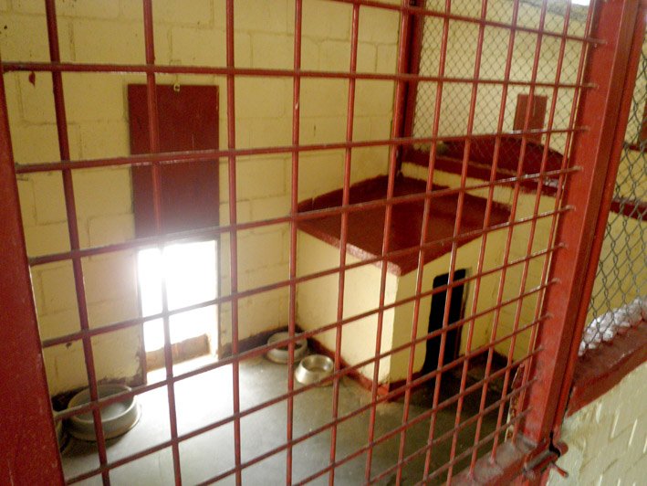 residencia canina solycan