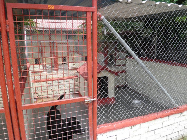 residencia canina solycan