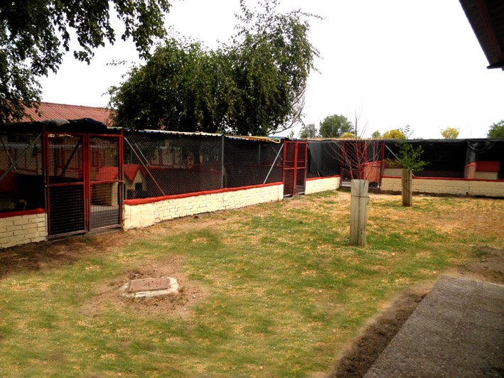 residencia canina solycan