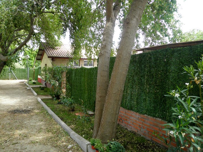 residencia canina solycan