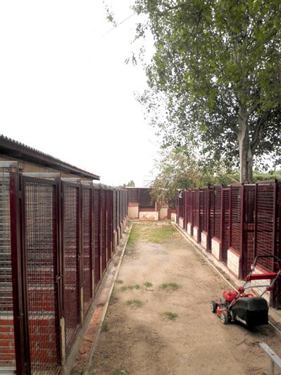 residencia canina solycan