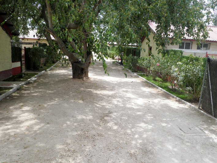 residencia canina solycan
