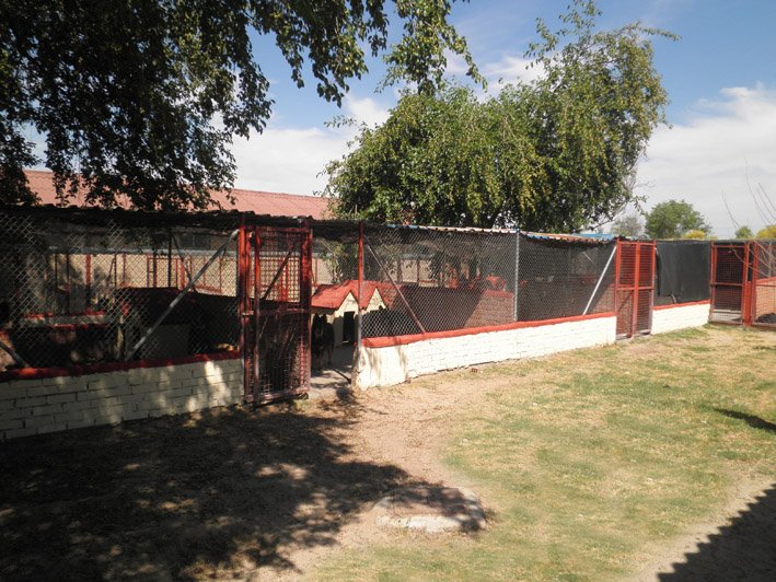 residencia canina solycan