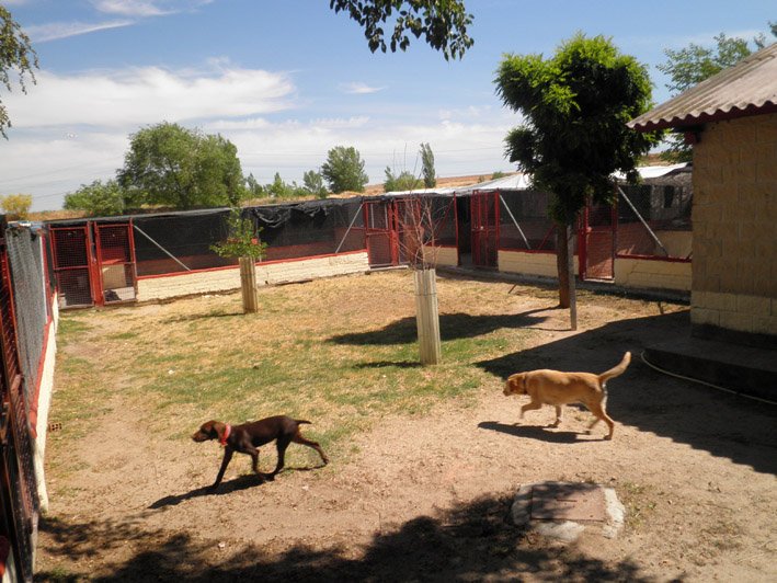 residencia canina solycan