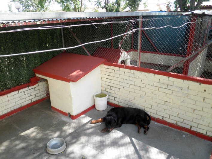 residencia canina solycan