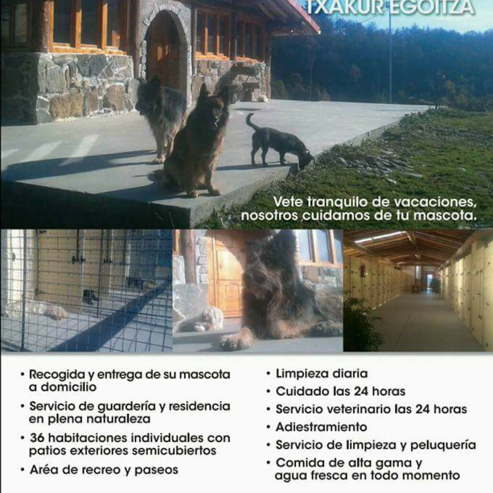 hotel canino orbela txakur egoitza
