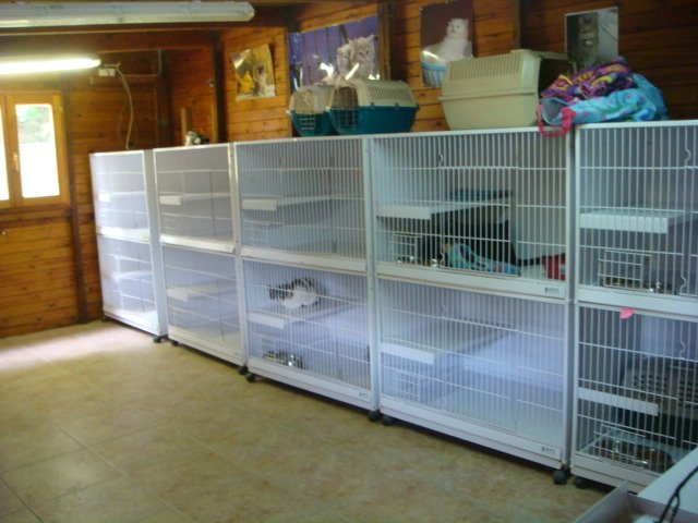 hotel canino Aiartza