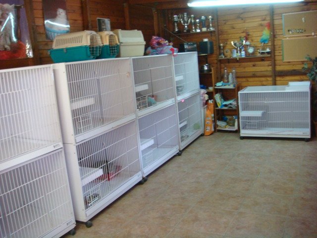 hotel canino Aiartza