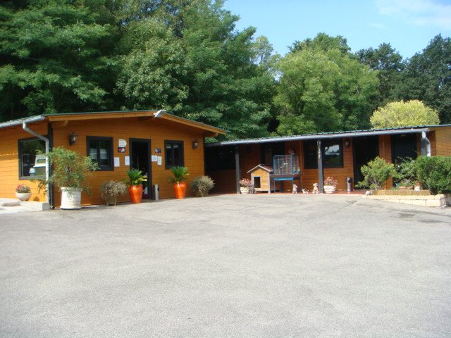 hotel canino Aiartza