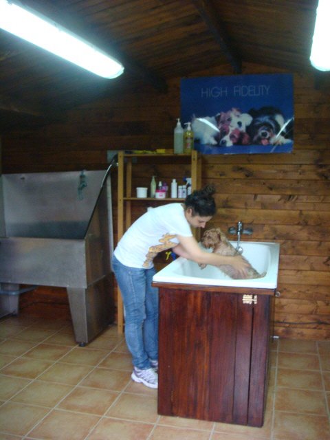 hotel canino Aiartza