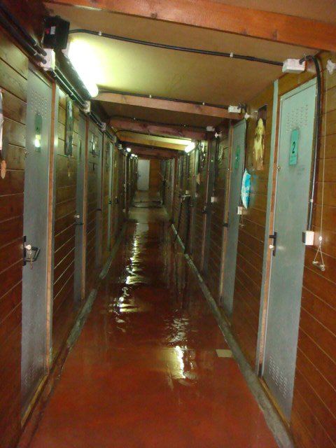 hotel canino Aiartza