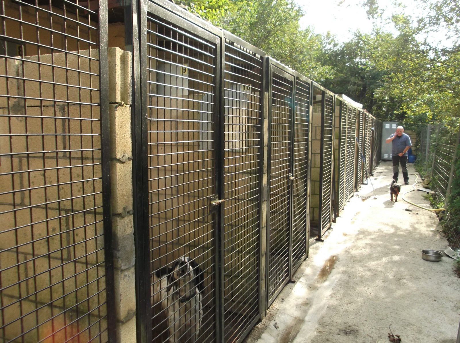 residencia canina gorriye