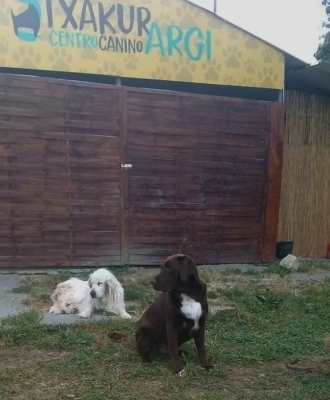 residencia canina txakurargi