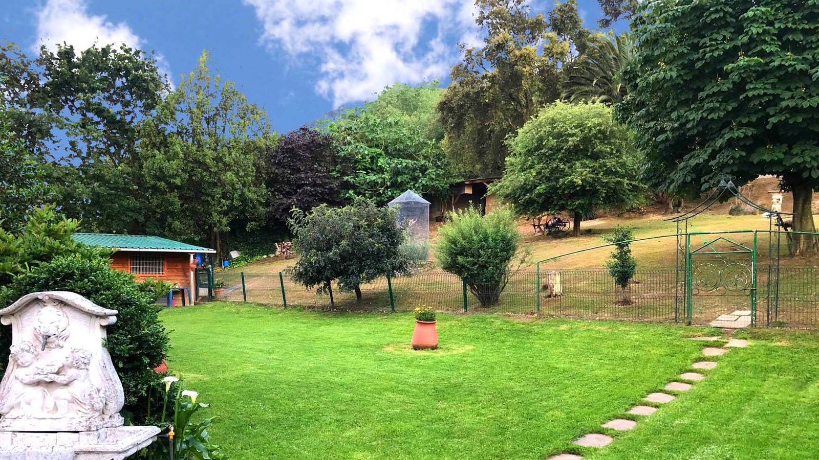 hotel canino villa halcón