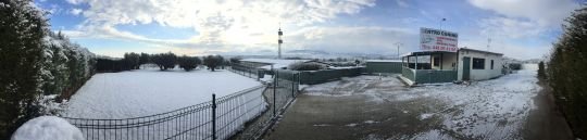 centro canino el olivar