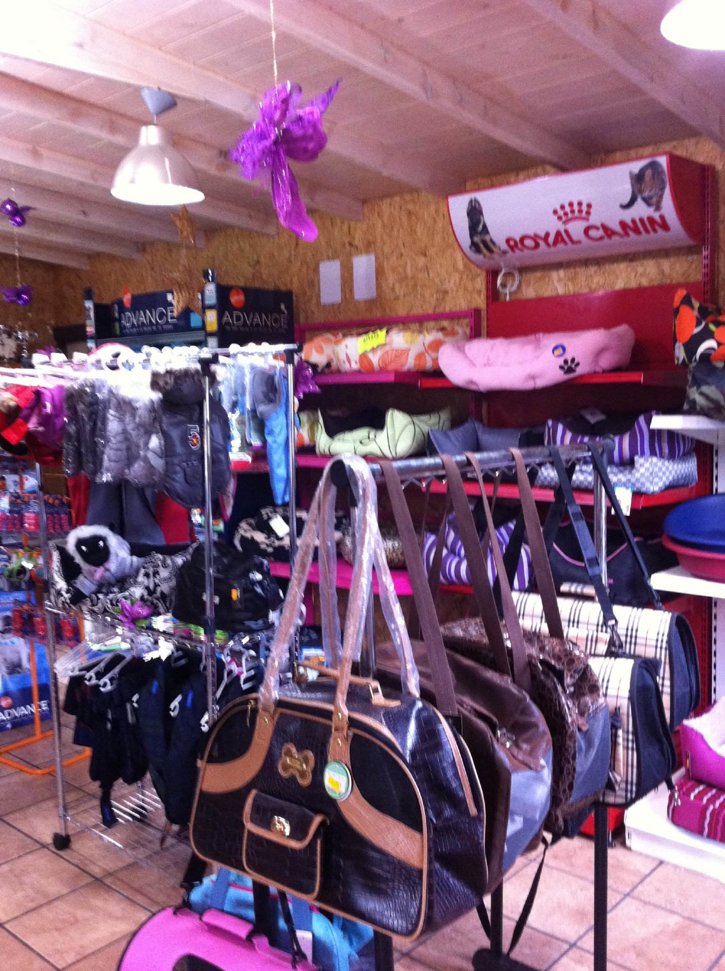 hotel canino Aiartza