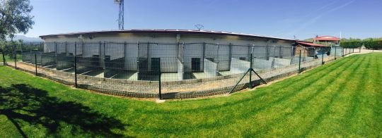centro canino el olivar