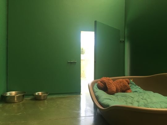 centro canino el olivar