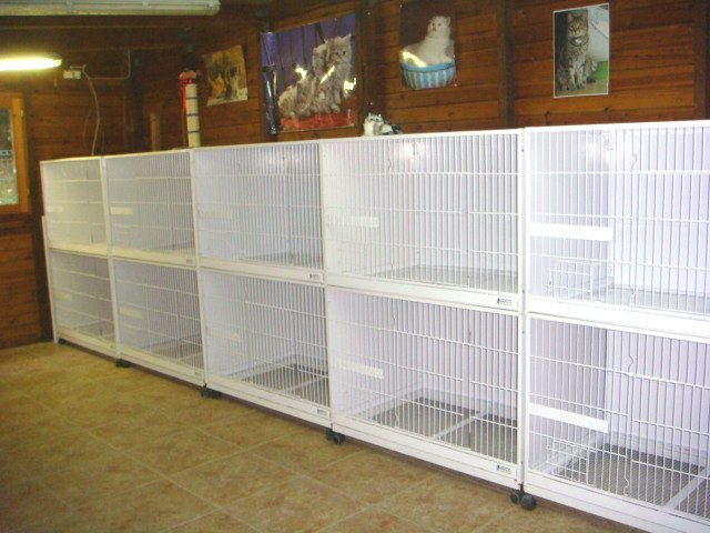 hotel canino Aiartza