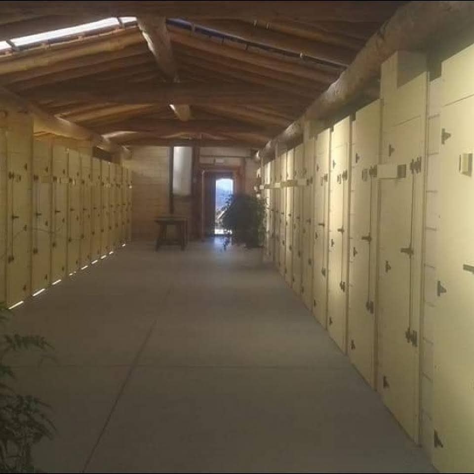 hotel canino orbela txakur egoitza