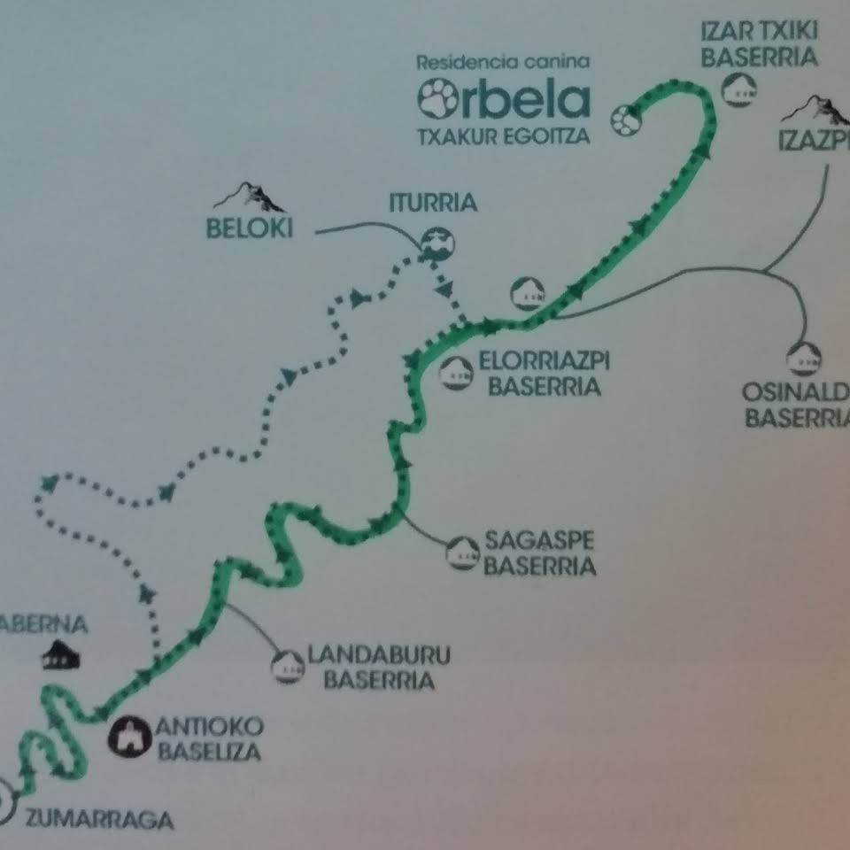 hotel canino orbela txakur egoitza