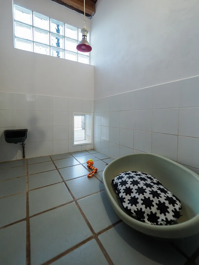 hotel para perros la torre canina