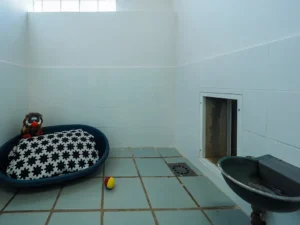 hotel para perros la torre canina