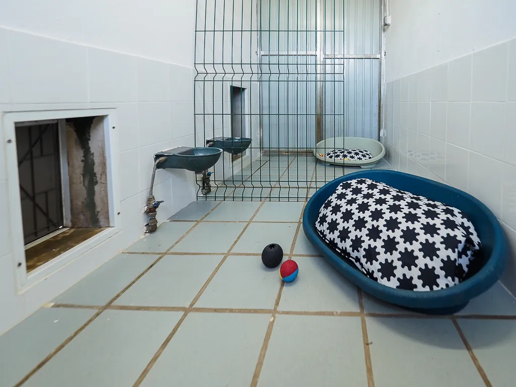 hotel para perros la torre canina
