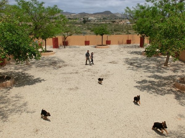 centro canino akra can