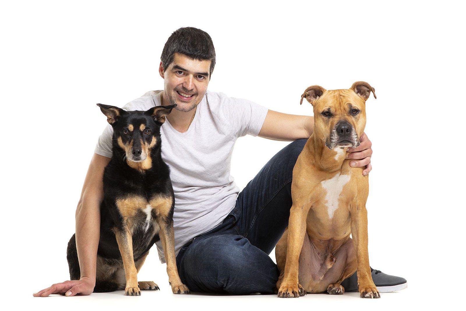 residencia canina de perro a perro