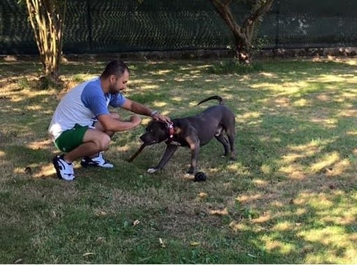 centro canino canbulls