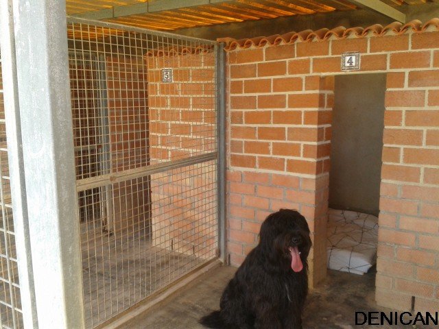 centro canino denican