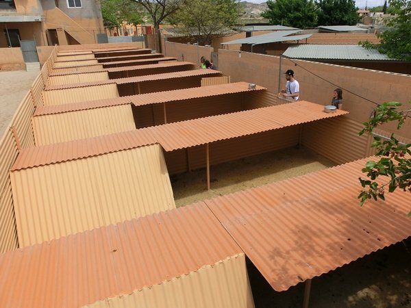 centro canino akra can