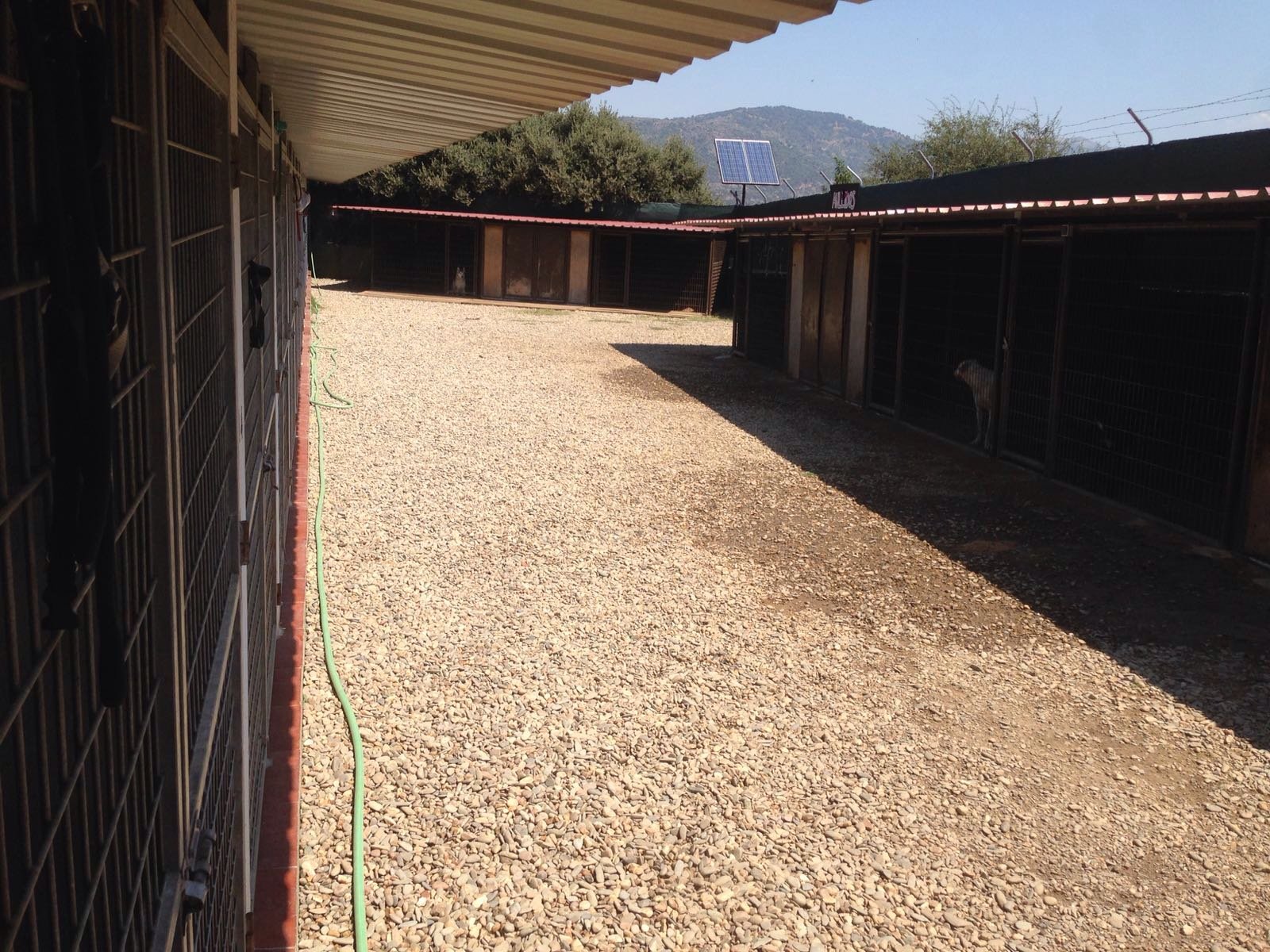 residencia canina aullidos