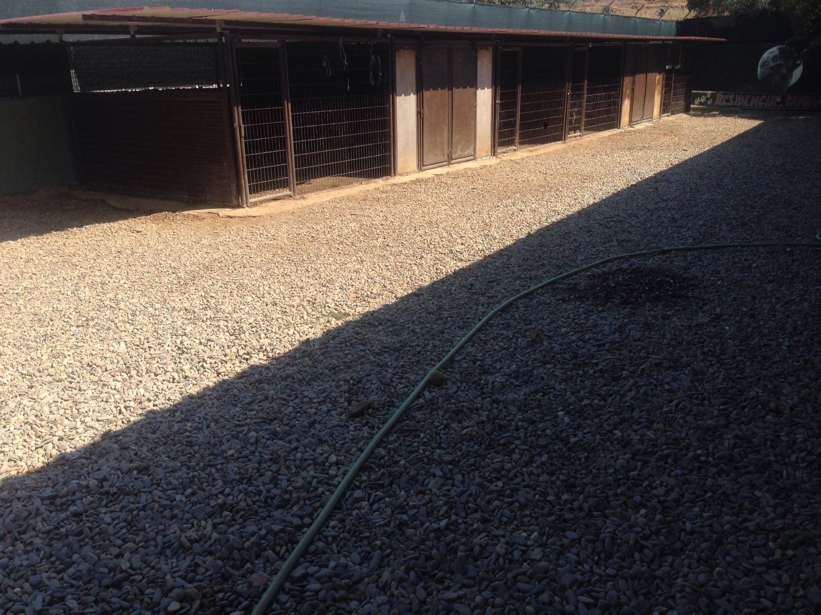 residencia canina aullidos