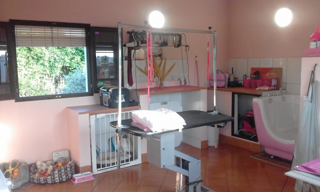 hotel para mascotas five  bone