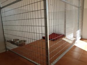 centro canino malilupus