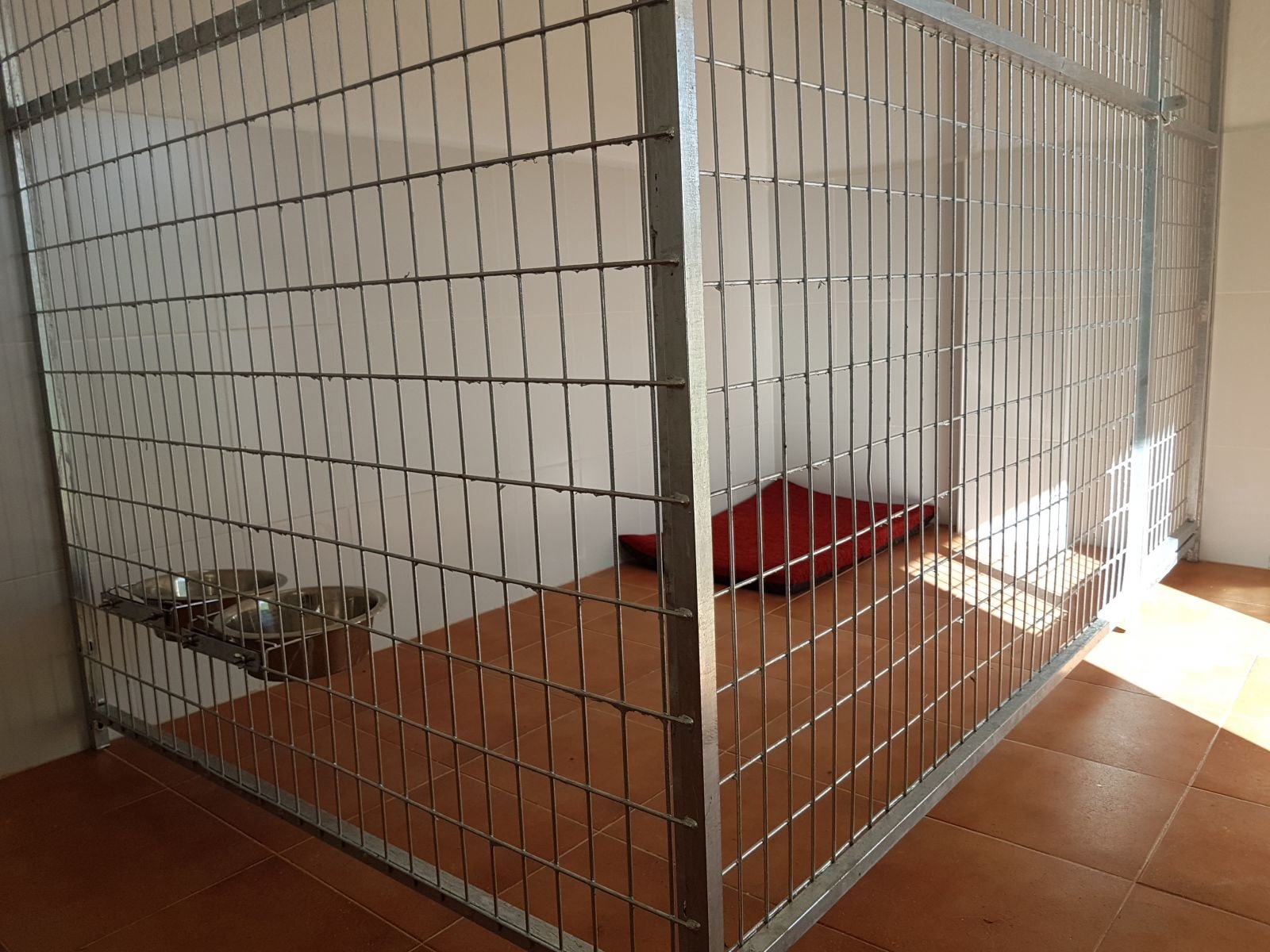centro canino malilupus