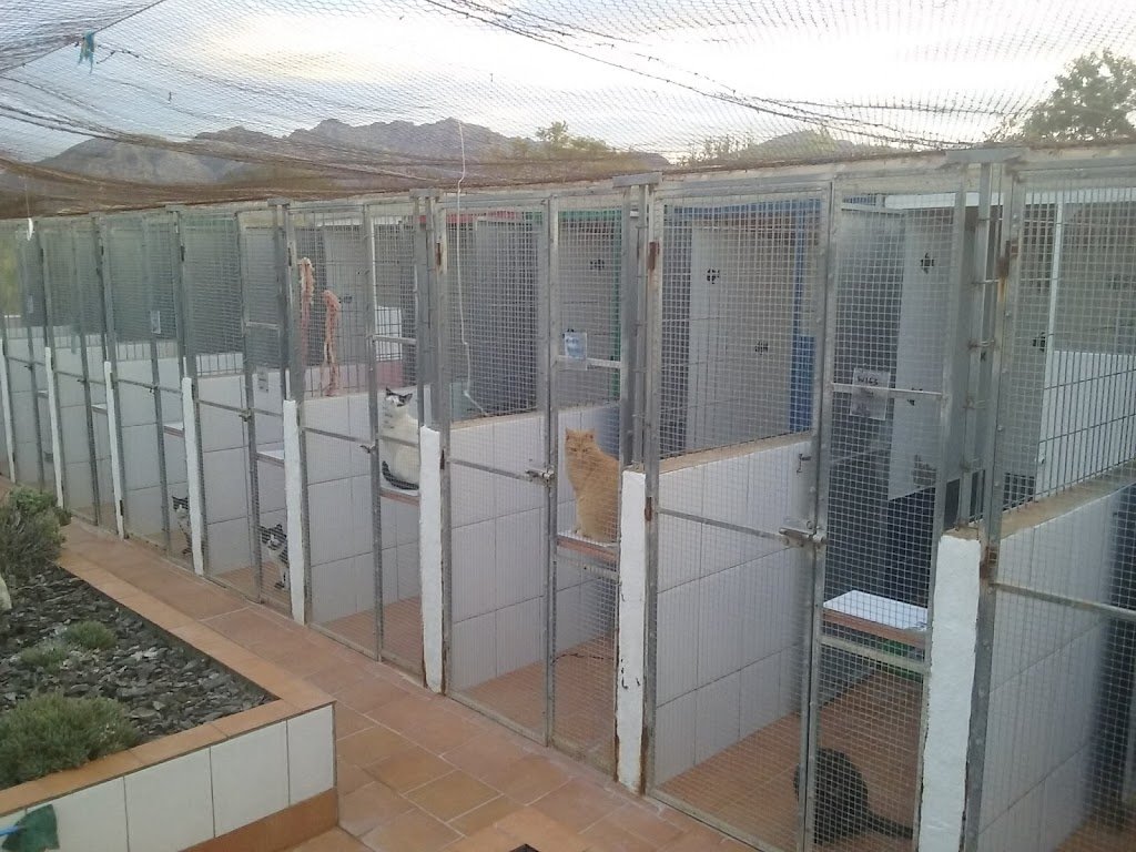 hotel para mascotas five  bone