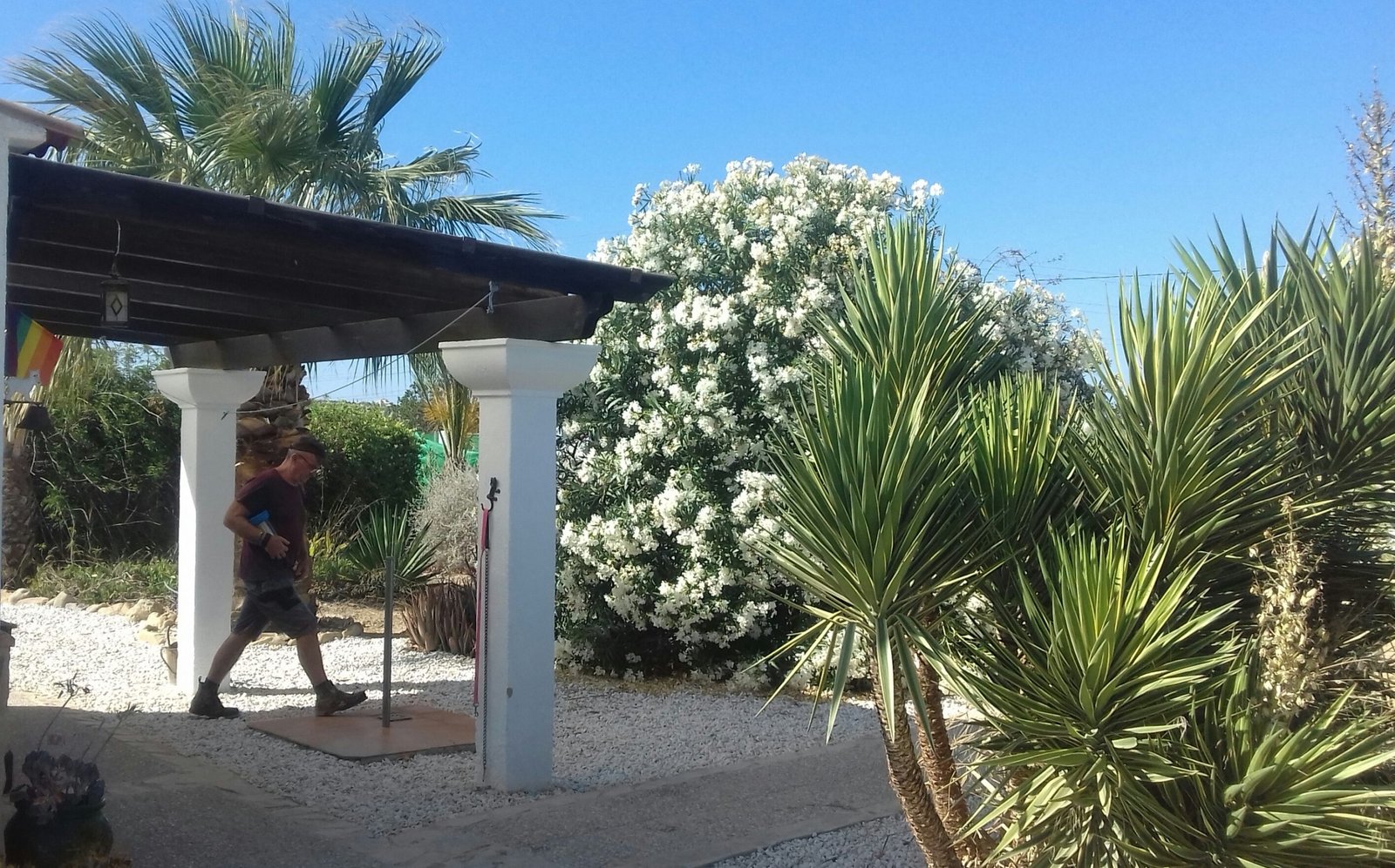 hotel para mascotas five  bone