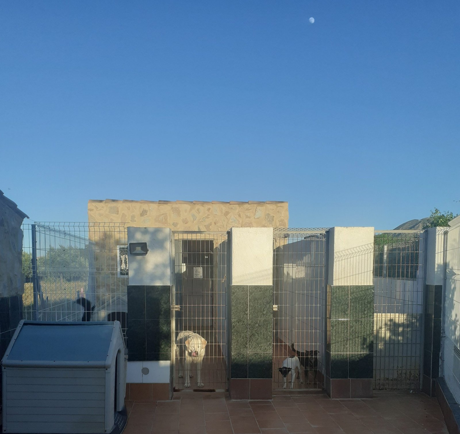 hotel para mascotas five  bone