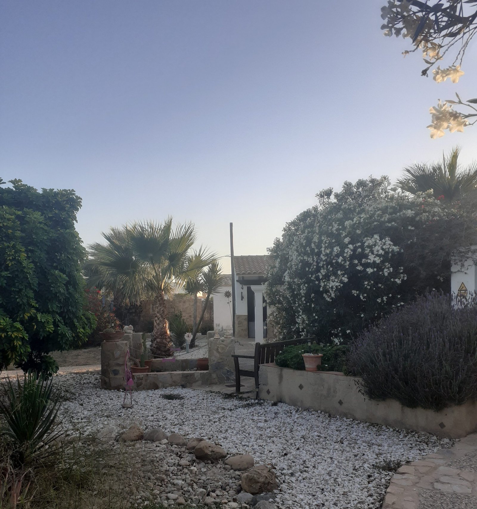 hotel para mascotas five  bone