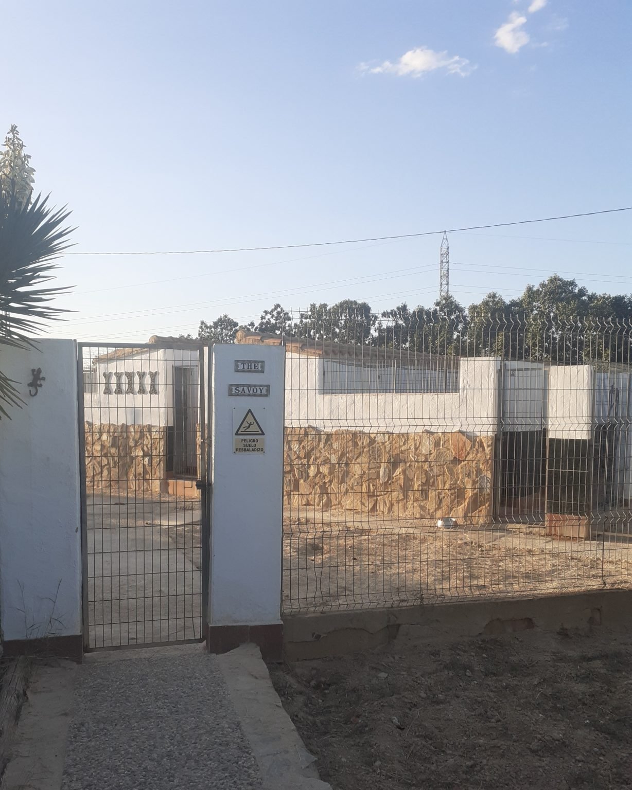 hotel para mascotas five  bone