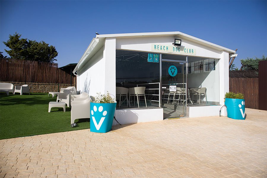 hotel canino vive pet resort