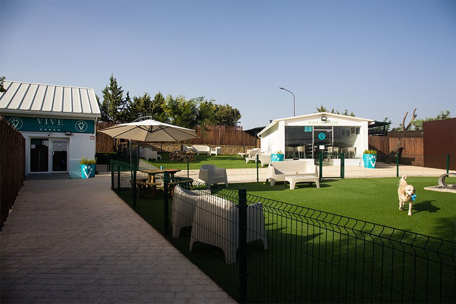 hotel canino vive pet resort