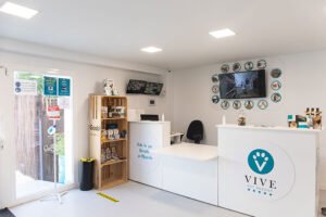 hotel canino vive pet resort