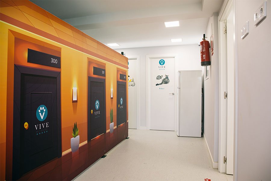 hotel canino vive pet resort