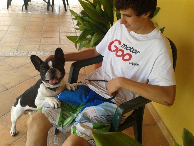 centro canino denican