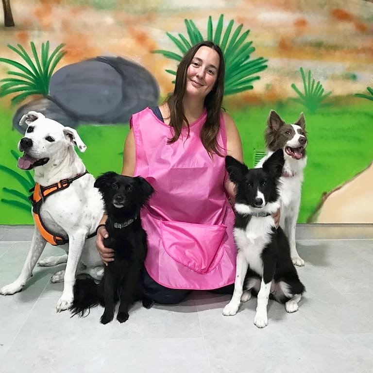 guardería canina consentidogs